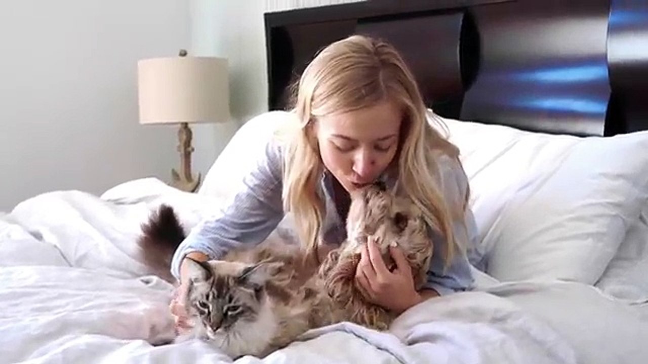 MY HEALTHY MORNING ROUTINE | Vegan Breakfast, Bulletproof Coffee, 5 Minute Journal, Yoga, Meditation