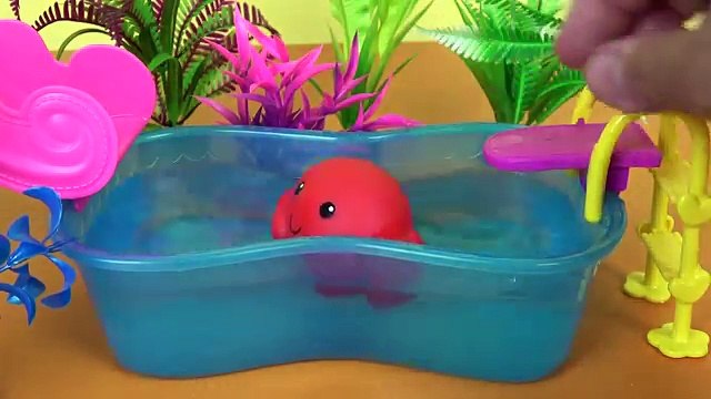 POOL Fun with Animals Toys Playing on SLIDE Cow Bunny Panda Pony Frog Rabbit Rocky from Paw Patrol