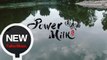 Power Milk【圓武曲】 HD 高清官方完整版 MV