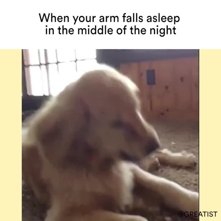 Arm Falls Asleep