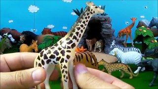 Wild Zoo Animals Cute Happy Toys Animal Safari for childrens! Animales de juguetes!