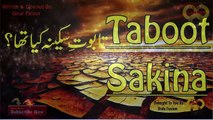 Taboot Sakina Kya Tha ? - What Was Sakina Coffin ? - Urdu / Hindi Documentary