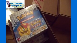 Trading Card Mail Day Video Featuring Pokemon and Yu-Gi-Oh
