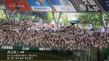埼玉西武ライオンズ 2017年度応援歌メドレー（開幕版）