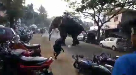 Elephant attack at vk kadavu thrithala Kerala 2018 Part-2