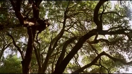 One Day Like Rain 2007by Dramucom avi   Pt 02