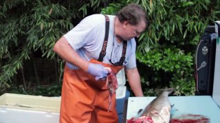 How to fillet Cobia fish with Big Rock champion Karl Knudsen
