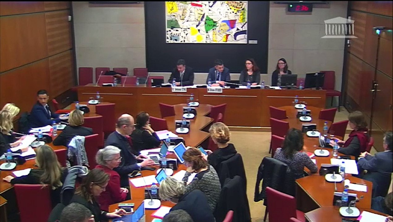 Commission des affaires culturelles : M. Emmanuel Ethis, vice-président du Haut conseil à l’éducation artistique et culturelle - Mercredi 14 mars 2018