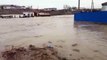 video Flood and Flood वीडियो बाढ़ और बाढ़ video Inundación e inundación Asia Central