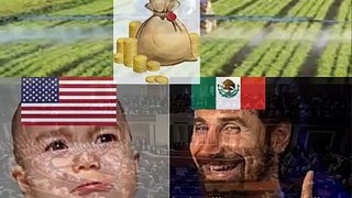 Estados Unidos de rodillas y suplicando ante Mexico a Donald Trump evitar una pelea comercial