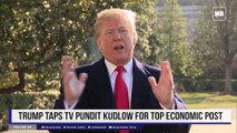 Trump taps TV pundit Kudlow for top economic post