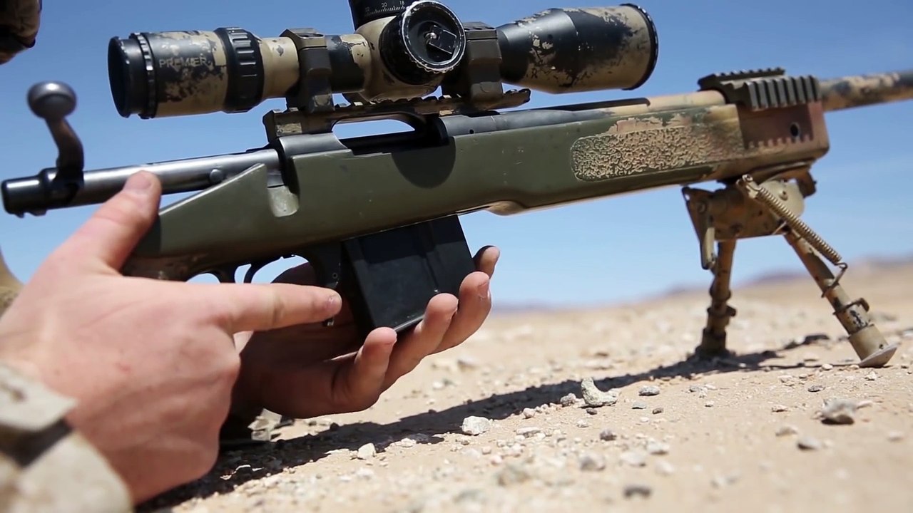Marine Scout Sniper Training