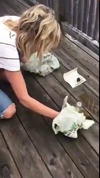 Sauvetage d'une souris attachée à un piège à glue !