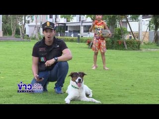 พิทบูลคลั่ง กัดเจ้าของยับยังคงผูกพัน | ข่าวเวิร์คพอยท์ | 19 เม.ย.60