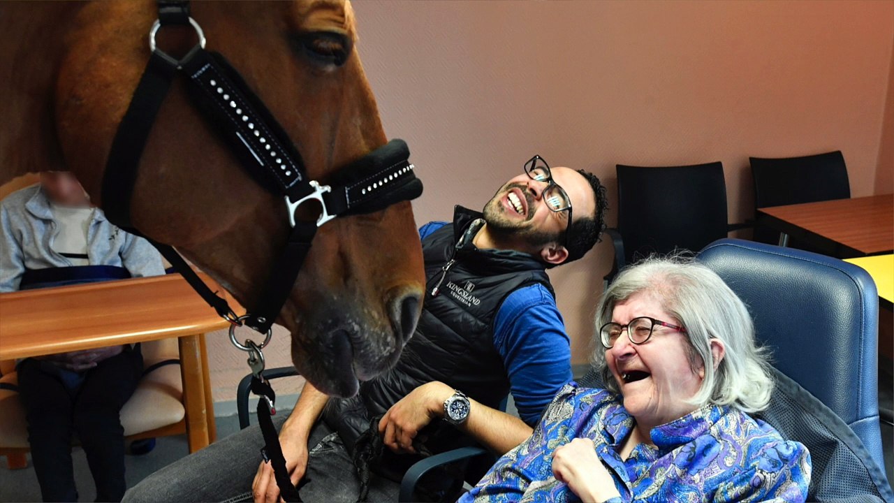 Peyo, cheval thérapeutique, cheval magique