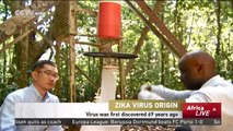 Zika Virus Origin: Virus was first discovered 69 years ago