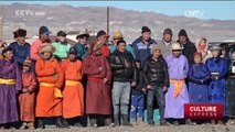 Mongolia Camel Festival: A bid to preserve nomadic culture