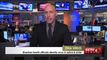 Brazilian health officials identify Zika virus in saliva and urine