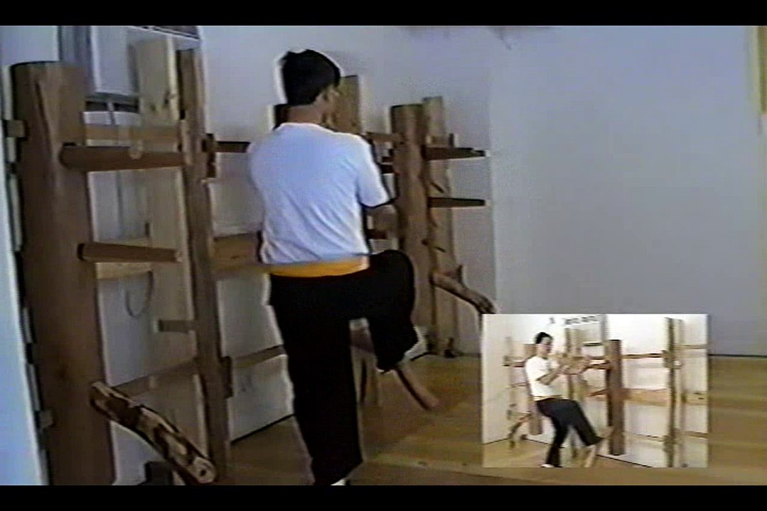 Wing Chun with Terence Yip Wooden Dummy Part 7