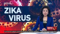Zika Virus Outbreak: Concerns over upcoming Carnival and Olympics