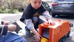 Garbage Truck Videos for Children - Toy Bruder and Tonka Garbage Trucks