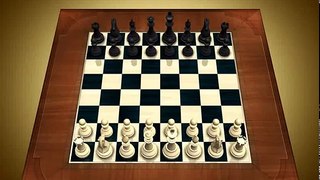 Como jugar AJEDREZ (ajedrez básico, principiantes) / How to play Chess (basic guide, beginners)