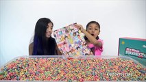 FRUIT LOOPS CHALLENGE | KidToyTesters