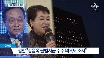 검찰, 김윤옥 의혹도 조사…MB 사위가 돈 전달했나