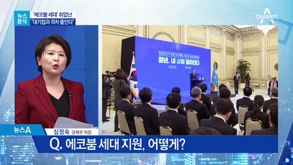 [뉴스분석]쏟아지는 ‘에코붐 세대’ 구출 작전
