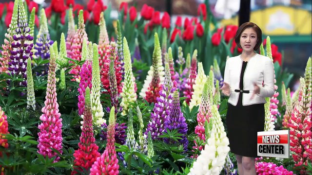 Cold morning, strong winds tomorrow _ 031518