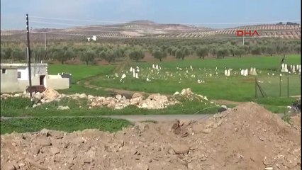 Zeytin Dalı Harekatı