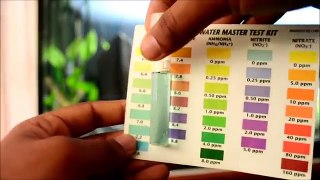 How to lower PH quickly Easy and Natural