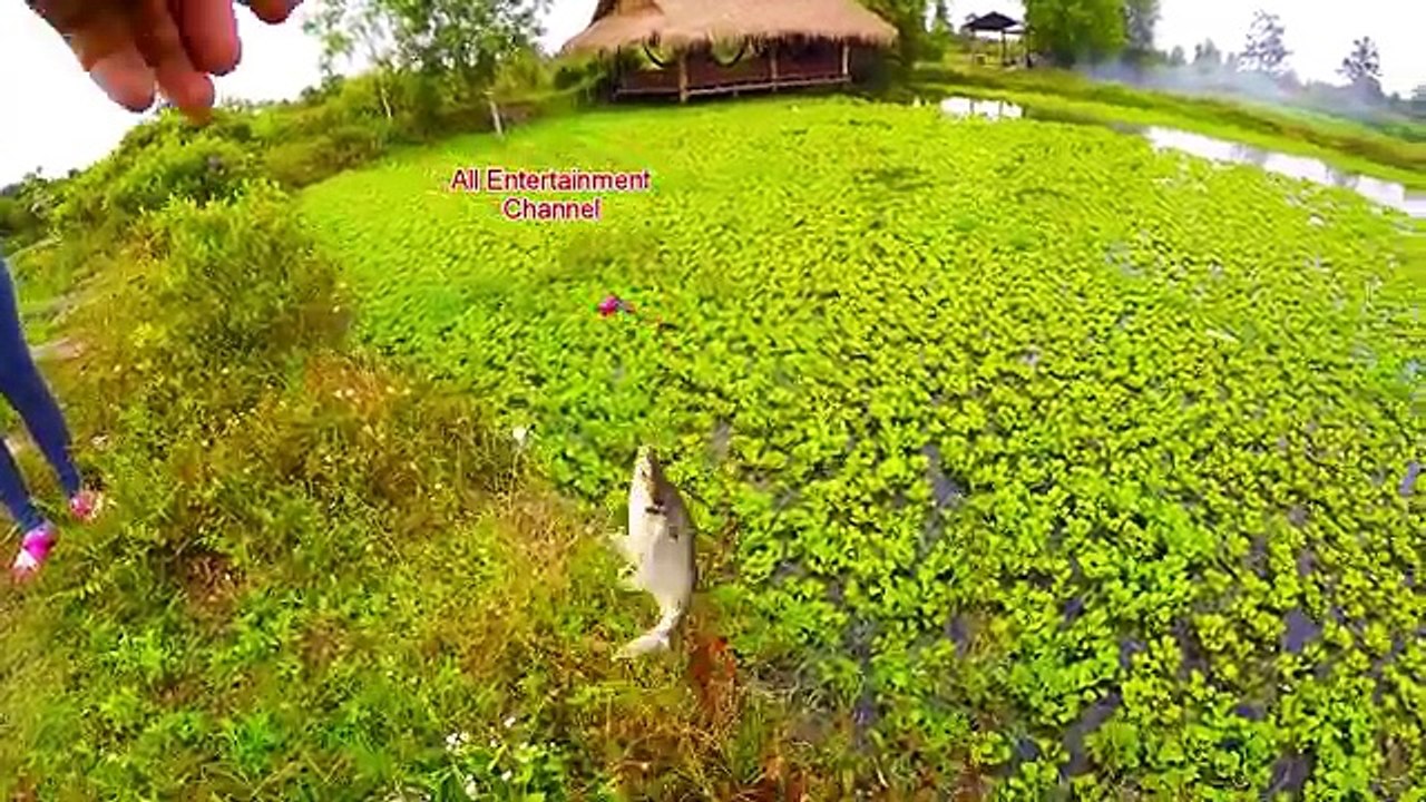 Amazing beautiful girls fishing and cooking fish at siem reap countryside -Cambodia Traditional