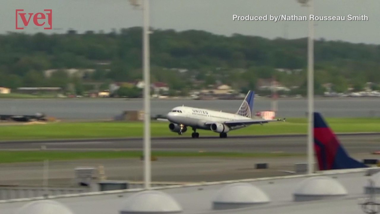 Following Puppy Death, United Airlines Issues N...
