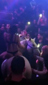 Aller en boite de nuit avec son cheval (Miami)