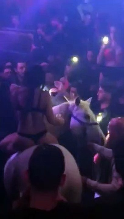 Aller en boite de nuit avec son cheval (Miami)