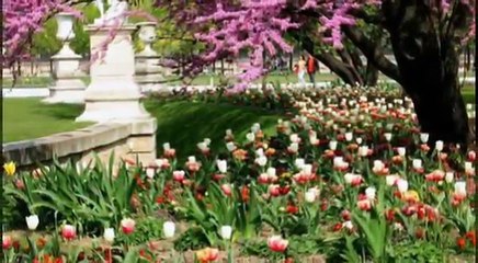 עיצוב גינות