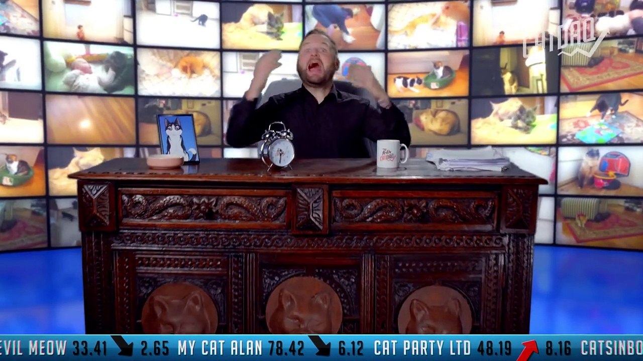 Round-up 10: Smarty Cats, Cats and Water & Cats in Shoes