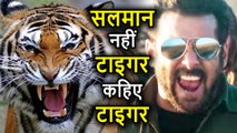 Race 3 के Shooting Set पर Salman Khan को सभी बुलाते हैं Tiger, ये है वजह