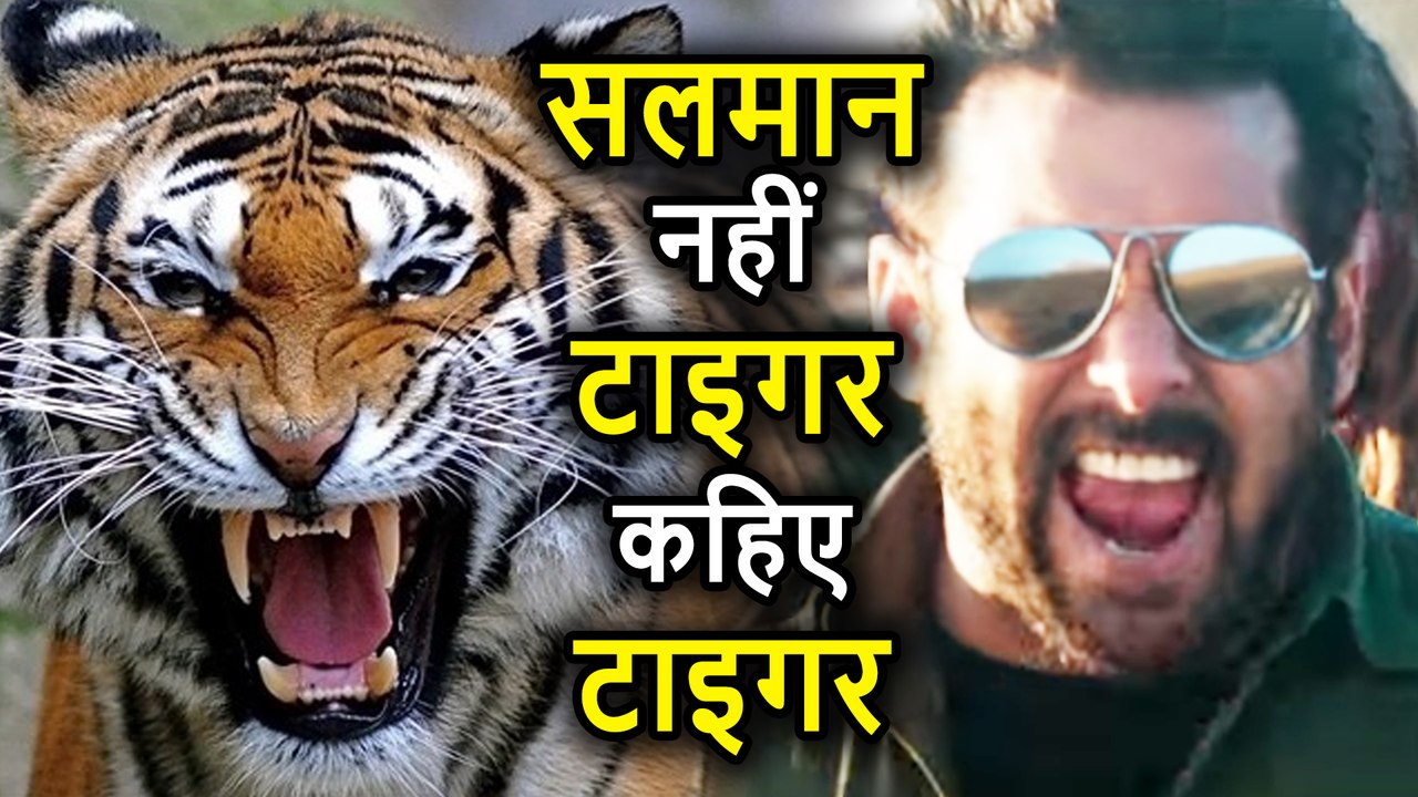 Race 3 के Shooting Set पर Salman Khan को सभी बुलाते हैं Tiger, ये है वजह