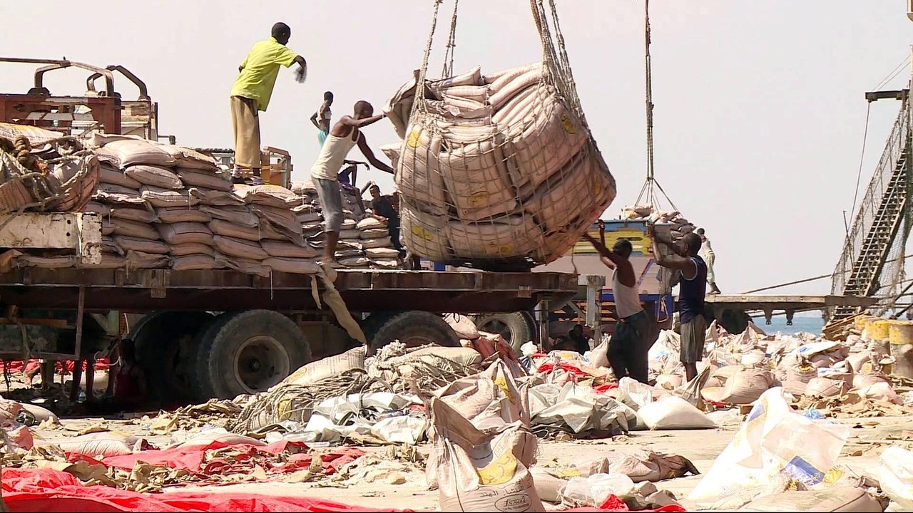Ports war: Somalia bans Dubai ports operator