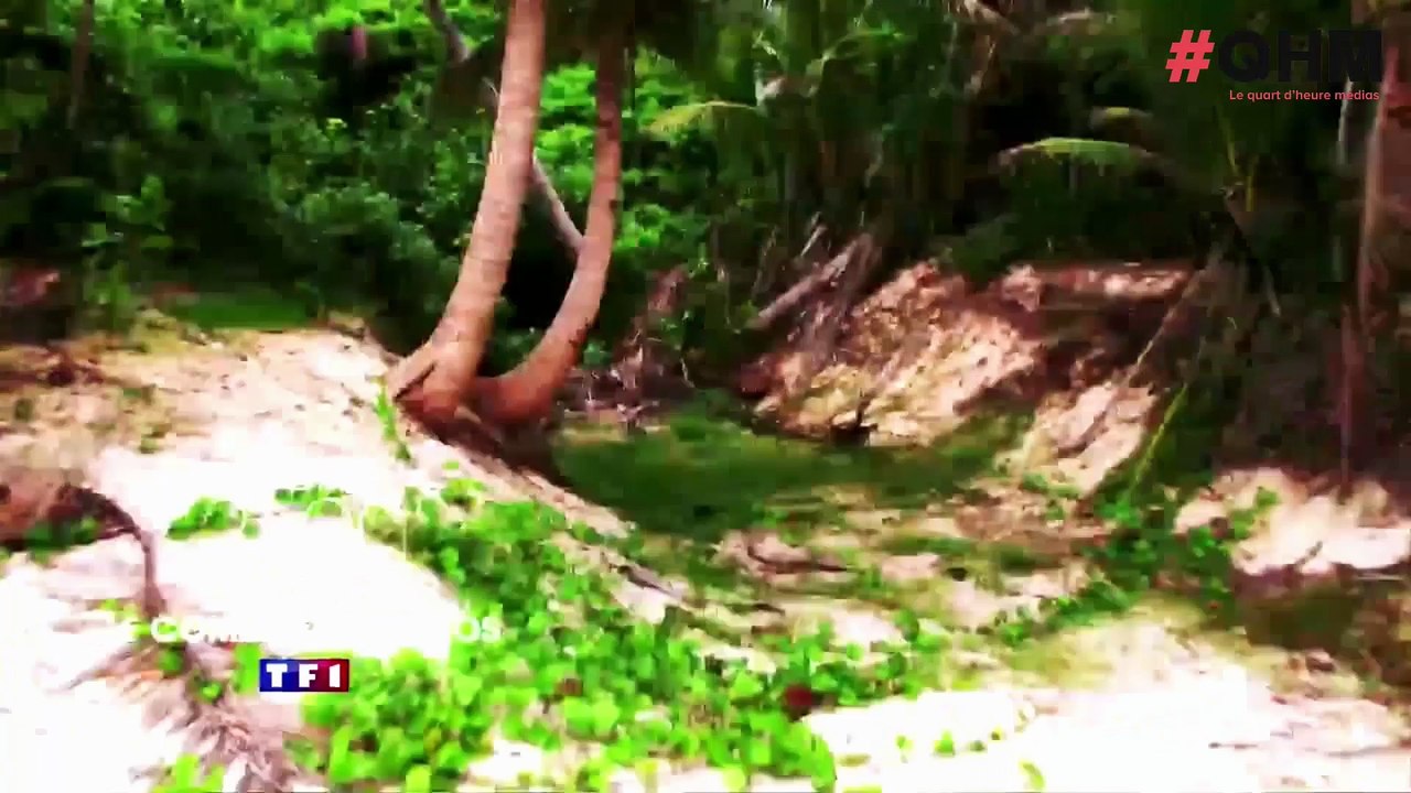 Dans #QHM, Denis Brogniart parle de la nouvelle saison de "Koh-Lanta", de Twitter et du conflit TF1/Canal+