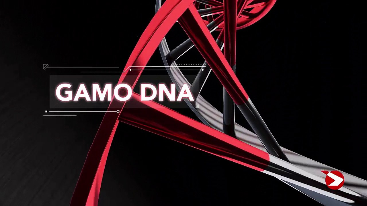 Carabine GAMO 10 coups