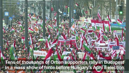 Orban supporters throng streets ahead of Hungary vote