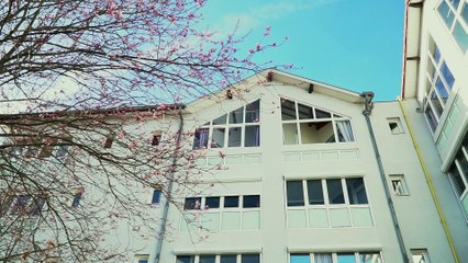 Reportage - Reportage