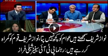 Nawaz Sharif misleading nation: PTI Senator