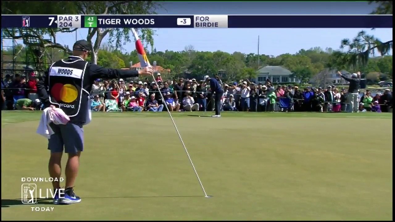 Le superbe coup de Tiger Woods !