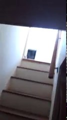 Une Cave à vin secrète bien cachée dans la cuisine