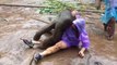 Ce bébé éléphant adore faire des câlins et ne se rend pas compte qu'il pèse 80kilo