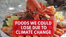 Five foods we could lose due to climate change